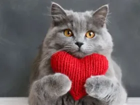 Valentýnská party ve školce