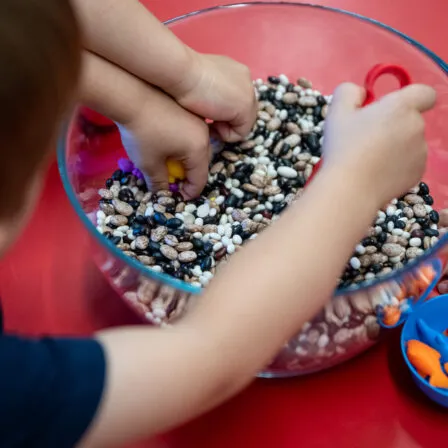 Fotogalerie MŠ a ZŠ - Magic Hill - Škola, kde rosteme spolu.