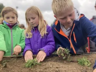 School farm - Magic Hill - Škola, kde rosteme spolu.