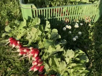 Photo gallery - Magic Hill - Škola, kde rosteme spolu.