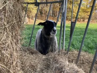 Photo gallery - Magic Hill - Škola, kde rosteme spolu.