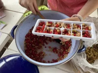 School farm - Magic Hill - Škola, kde rosteme spolu.