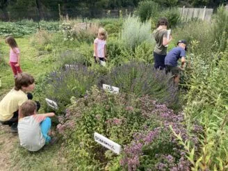 Photo gallery - Magic Hill - Škola, kde rosteme spolu.