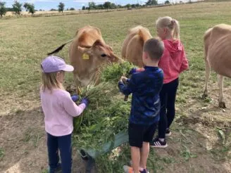 School farm - Magic Hill - Škola, kde rosteme spolu.