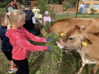 Photo gallery - Magic Hill - Škola, kde rosteme spolu.