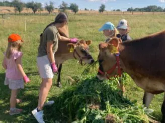 School farm - Magic Hill - Škola, kde rosteme spolu.