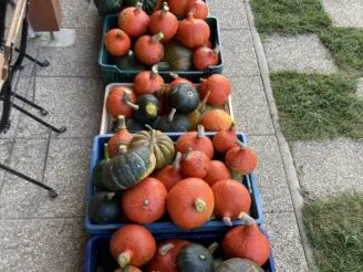 Photo gallery - Magic Hill - Škola, kde rosteme spolu.