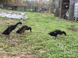 Photo gallery - Magic Hill - Škola, kde rosteme spolu.