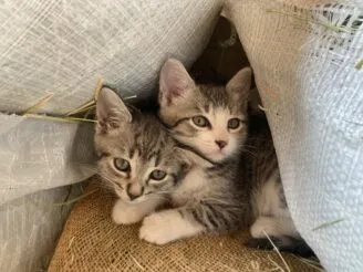 Photo gallery - Magic Hill - Škola, kde rosteme spolu.