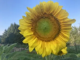 Photo gallery - Magic Hill - Škola, kde rosteme spolu.