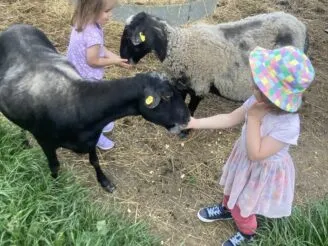 Photo gallery - Magic Hill - Škola, kde rosteme spolu.