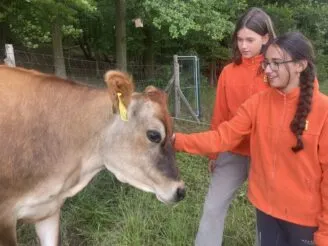 Photo gallery - Magic Hill - Škola, kde rosteme spolu.