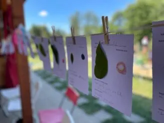 Photo gallery - Magic Hill - Škola, kde rosteme spolu.