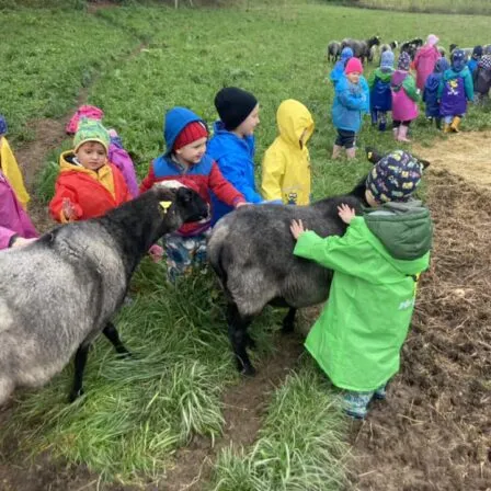 Fotogalerie MŠ a ZŠ - Magic Hill - Škola, kde rosteme spolu.