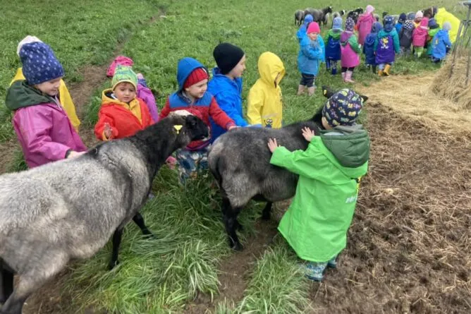 Naše výuka - Magic Hill - Škola, kde rosteme spolu.