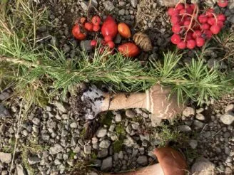 Photo gallery - Magic Hill - Škola, kde rosteme spolu.