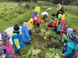 School farm - Magic Hill - Škola, kde rosteme spolu.