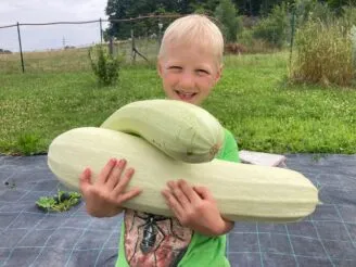 School farm - Magic Hill - Škola, kde rosteme spolu.