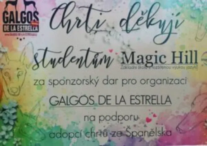 Sbírky - Magic Hill - Škola, kde rosteme spolu.