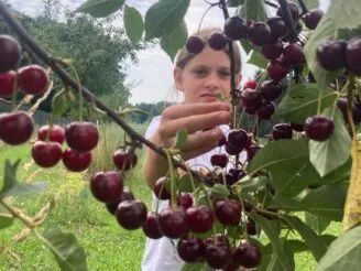 Photo gallery - Magic Hill - Škola, kde rosteme spolu.