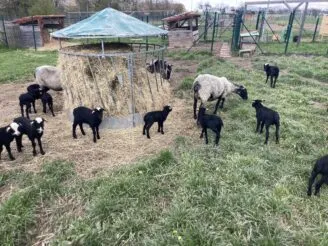 Photo gallery - Magic Hill - Škola, kde rosteme spolu.