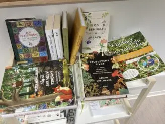 Photo gallery - Magic Hill - Škola, kde rosteme spolu.