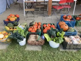 Photo gallery - Magic Hill - Škola, kde rosteme spolu.