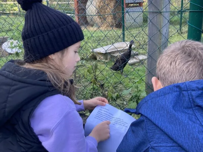 Farma nabízí - Magic Hill - Škola, kde rosteme spolu.