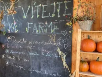 Photo gallery - Magic Hill - Škola, kde rosteme spolu.