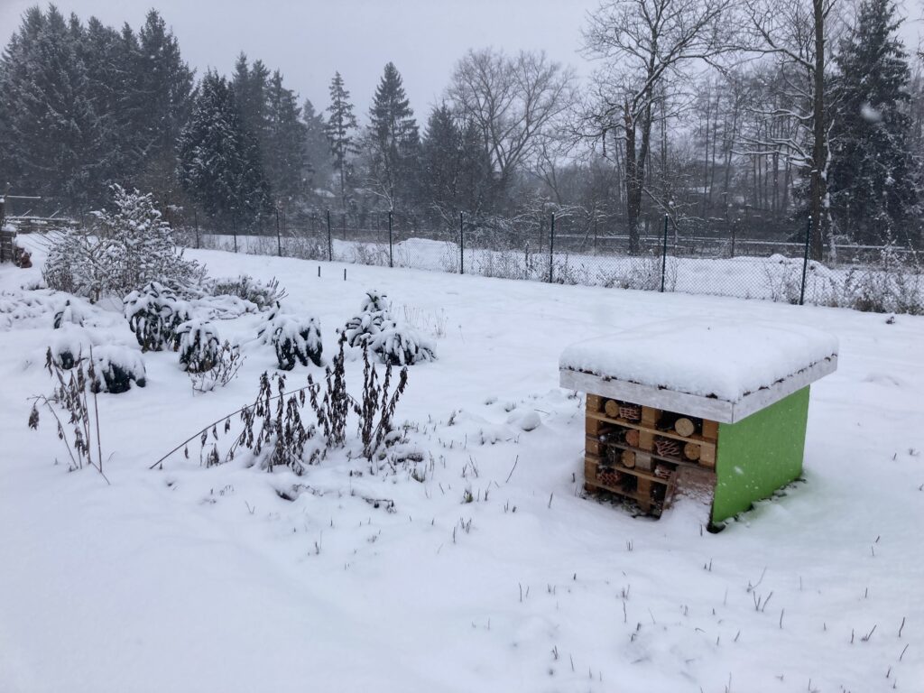 Ohlédnutí za rokem 2022 z pera naší farmářky - Magic Hill - Škola, kde rosteme spolu.