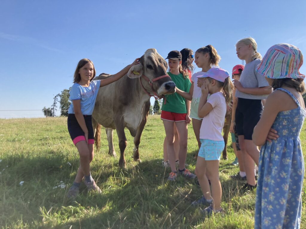 Ohlédnutí za rokem 2022 z pera naší farmářky - Magic Hill - Škola, kde rosteme spolu.