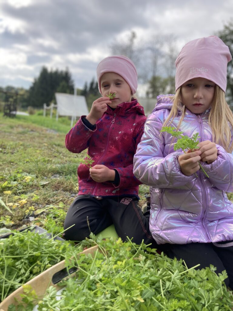 Ohlédnutí za rokem 2022 z pera naší farmářky - Magic Hill - Škola, kde rosteme spolu.