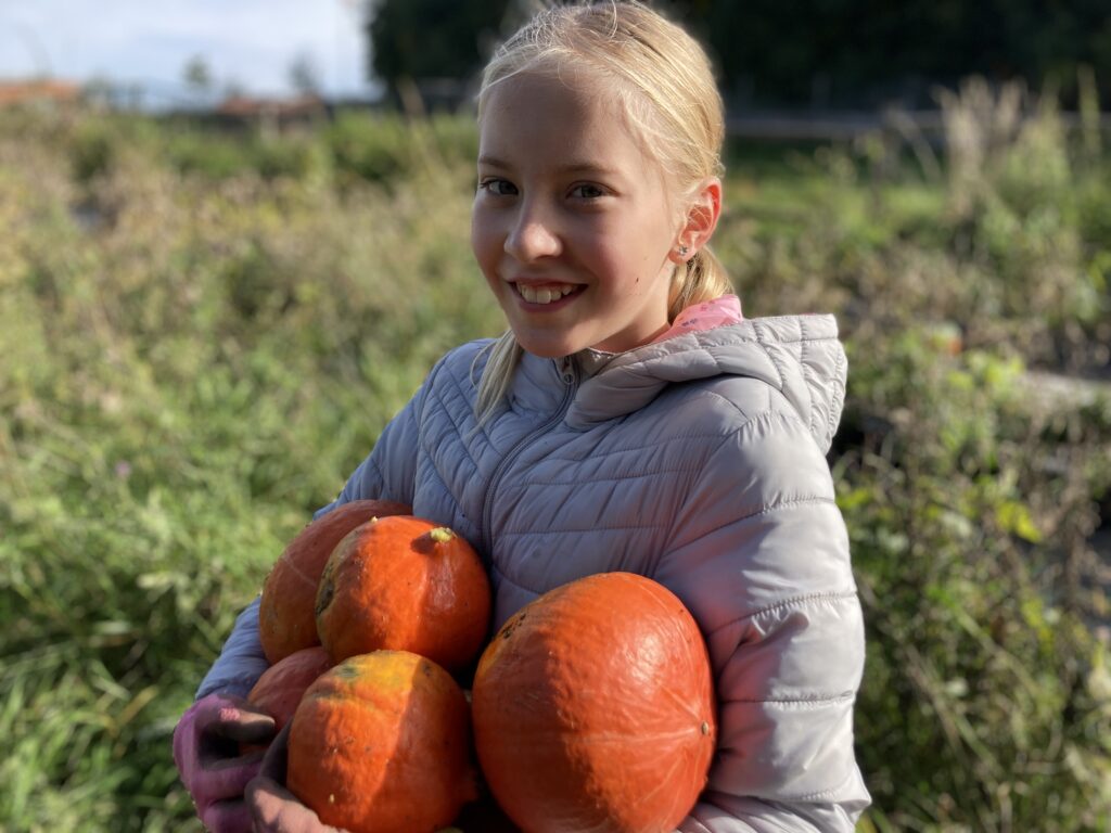 Ohlédnutí za rokem 2022 z pera naší farmářky - Magic Hill - Škola, kde rosteme spolu.