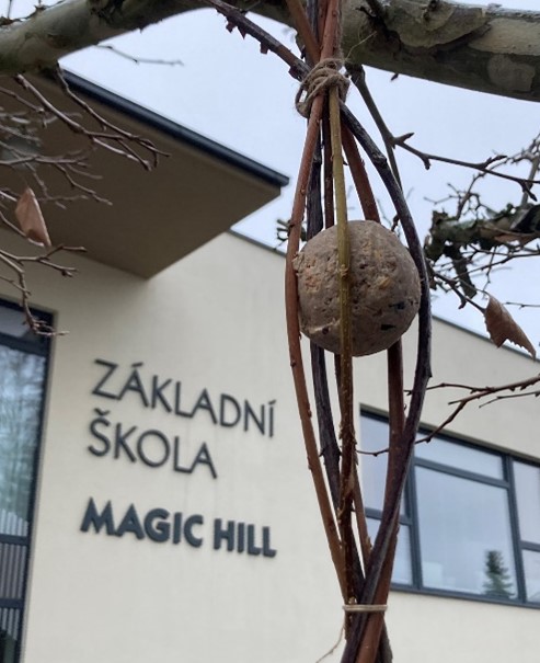 Jak na ptačí krmítka bez nástrah - Magic Hill - Škola, kde rosteme spolu.