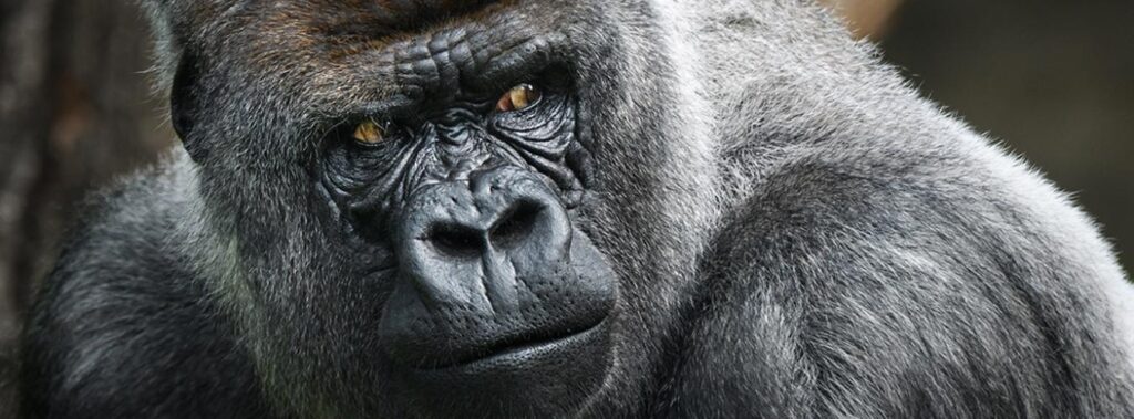 Pečujme o přírodu nejen o významných dnech - Magic Hill - Škola, kde rosteme spolu.