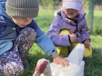Školní farma - Magic Hill - Škola, kde rosteme spolu.
