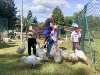 Školní farma - Magic Hill - Škola, kde rosteme spolu.