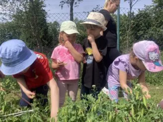Školní farma - Magic Hill - Škola, kde rosteme spolu.