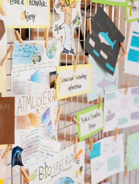 Principles of education