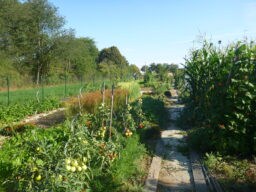 Den otevřených dveří na školní farmě