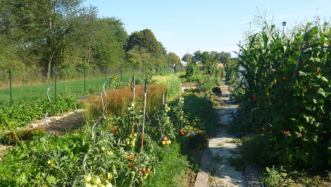 Den otevřených dveří na školní farmě