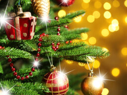 Vánoční prázdniny